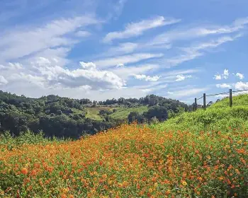 임진강 댑싸리공원_17