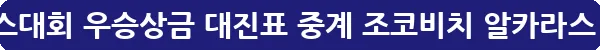us오픈테니스대회 우승상금 대진표 중계 조코비치 알카라스_17