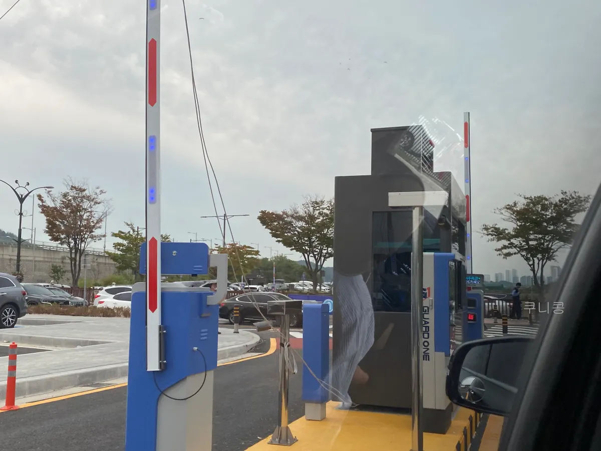 서울-근교-나들이-가볼만한곳-추천-억새-코스모스-시흥갯골생태공원-무료-주차-꿀팁