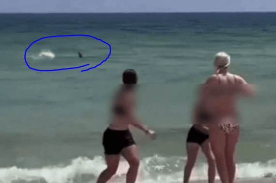 미국 해수욕장에 상어가 출몰하여 사람들이 대피하고 있는 장면