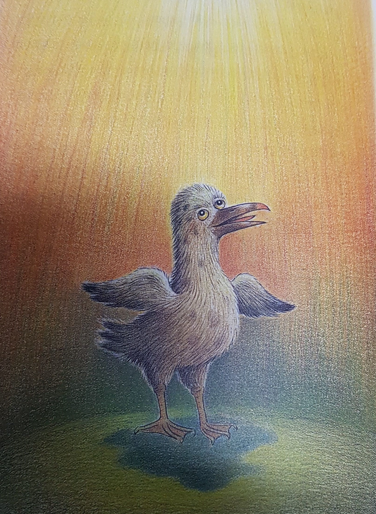 '갈매기에게 나는 법을 가르쳐 준 고양이' 삽화