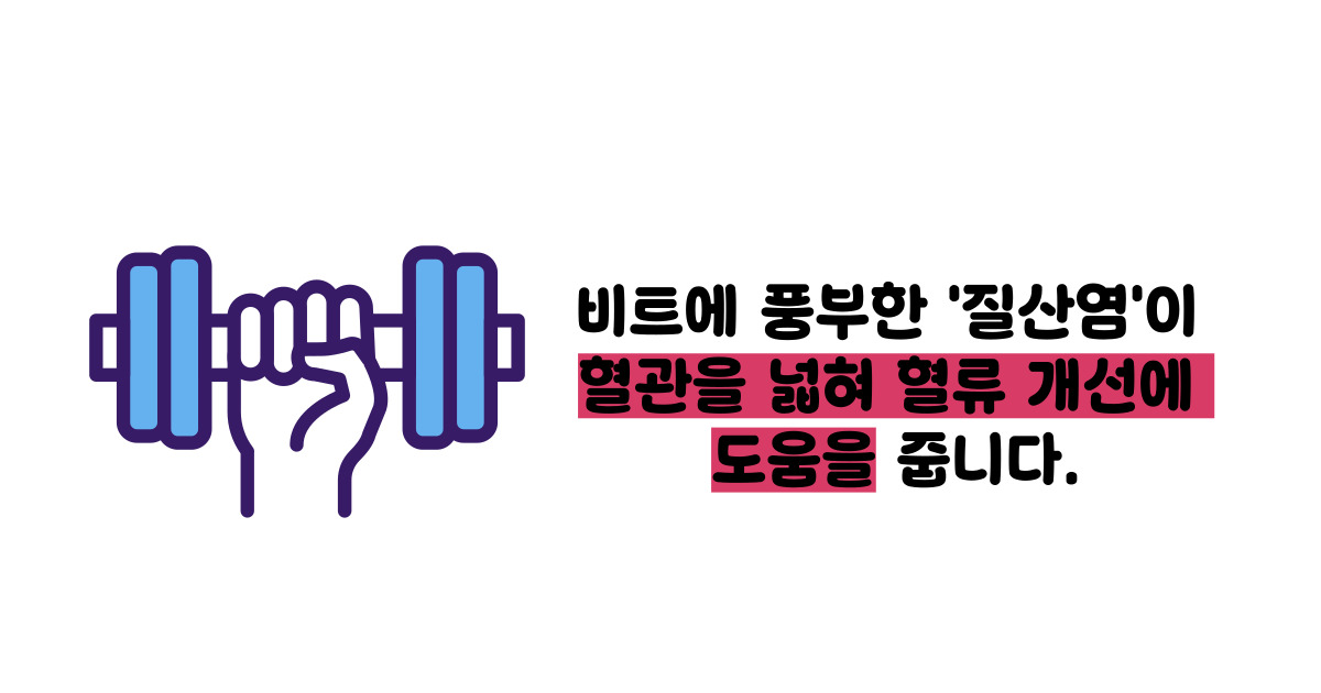 비트 효능 및부작용