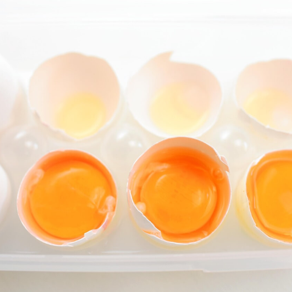 루테인 지아잔틴 사진 12