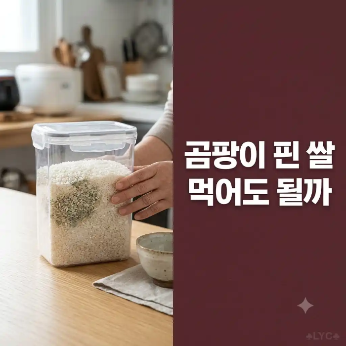곰팡이 핀 쌀 섭취 가능 여부와 오염 의심 쌀