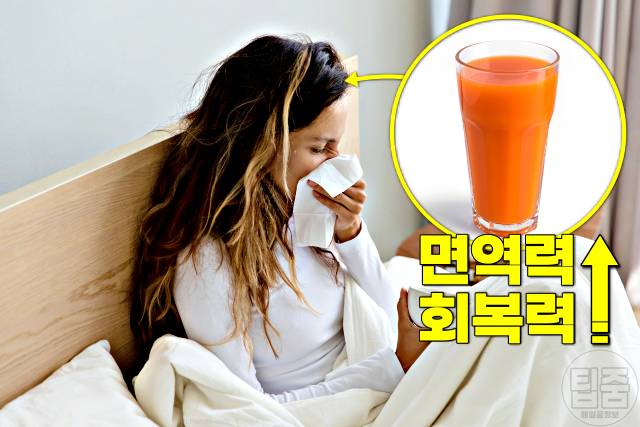 당근주스 효능 면역력