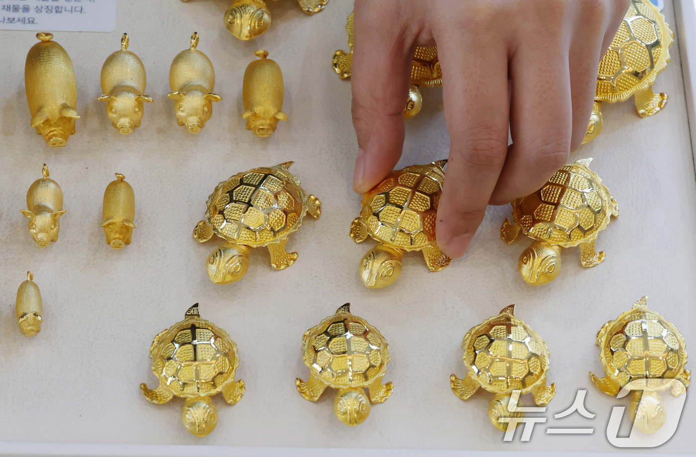 7월 26일 로또 1182회 당첨 번호, 예상번호, 당첨 지점