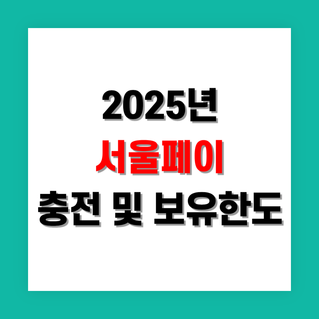 서울페이 충전 및 보유 한도 정리
