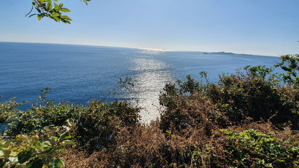 제주 올레9코스