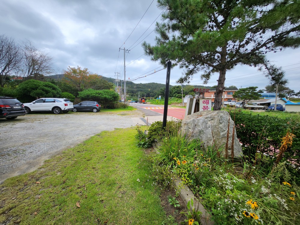강화도 숨은 맛집, 딸아이가 인정한 '좋은만남해물칼국수' 인생 칼국수 후기