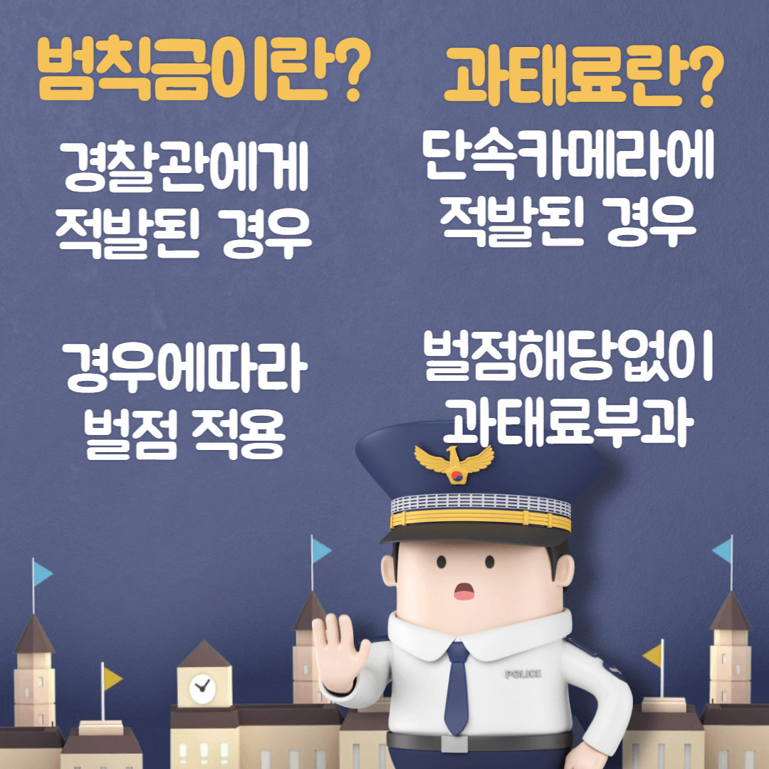 범칙금과태료 비교