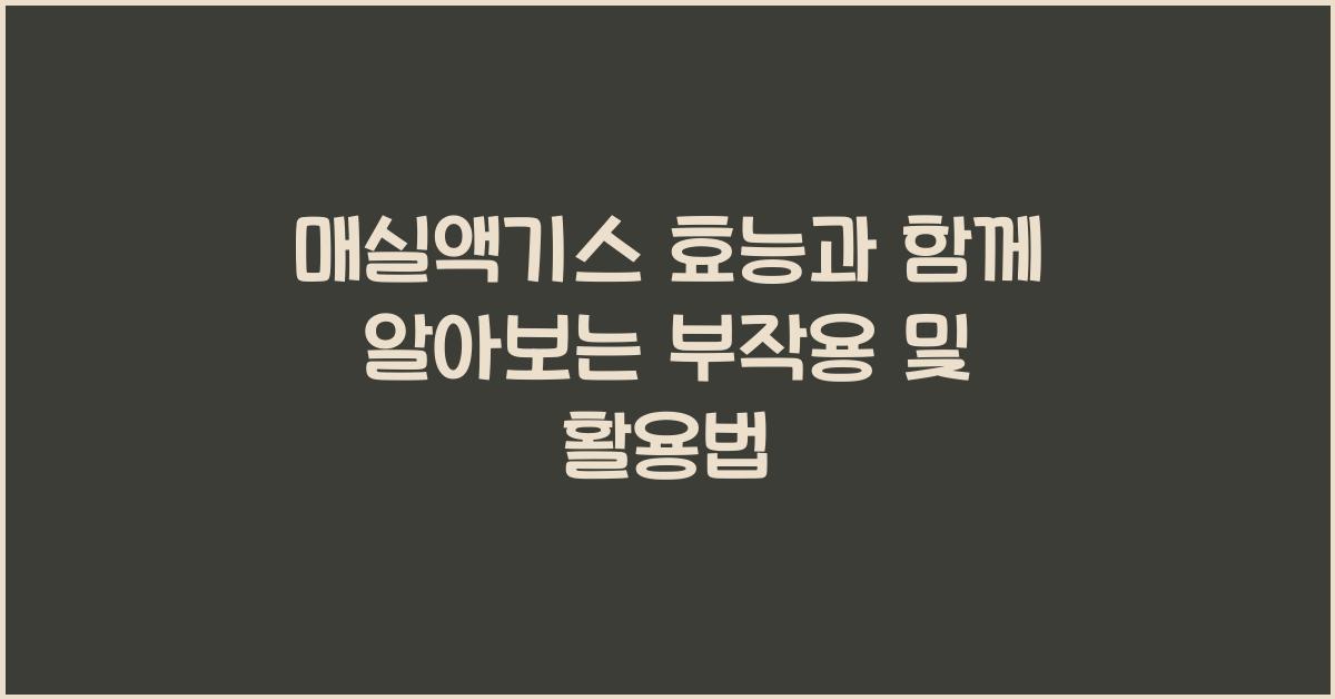 매실액기스 효능