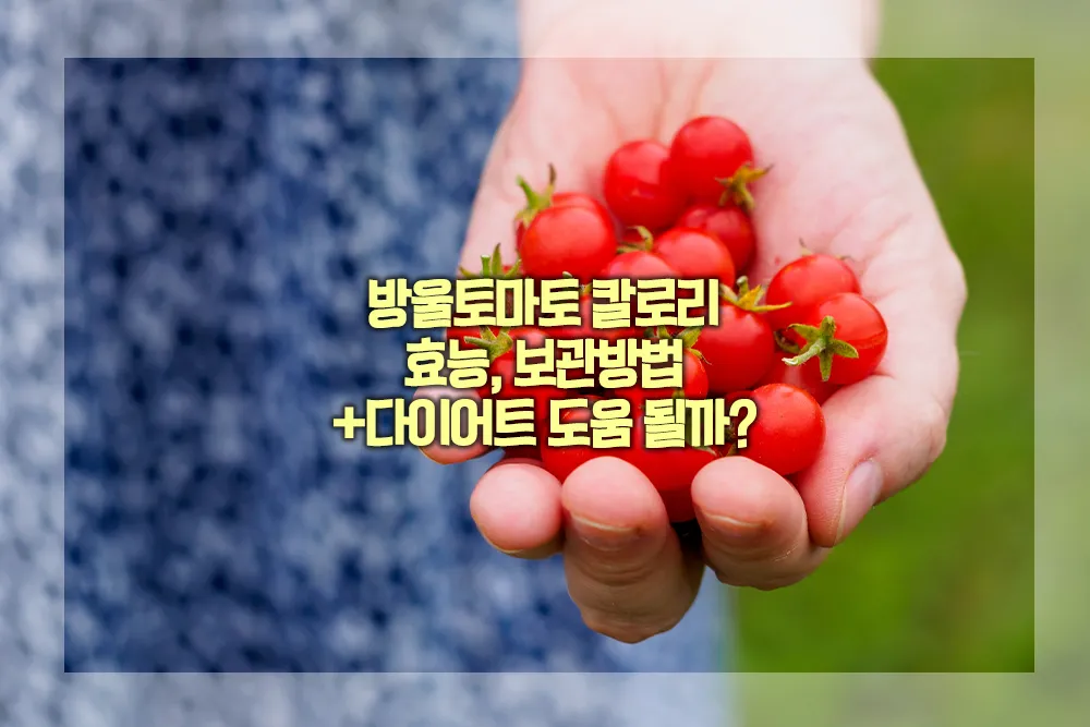 방울토마토 칼로리 효능 보관방법 다이어트