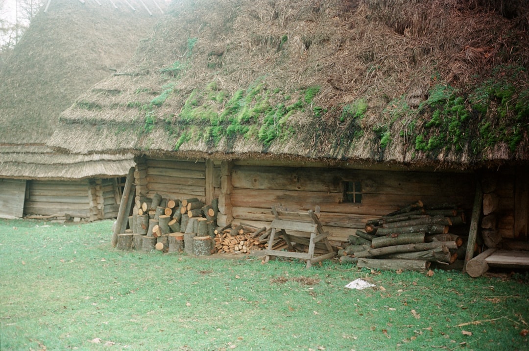 Nonghyup (meaning folk village in English)