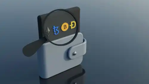 비트코인 사진