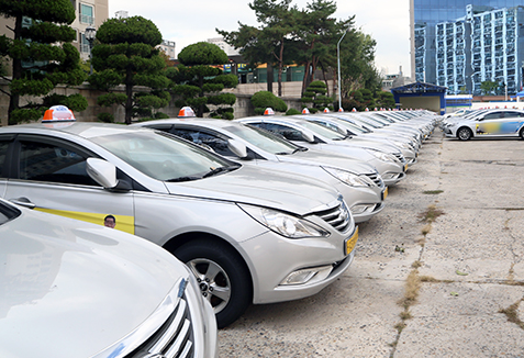 자동차번호판봉인제폐지