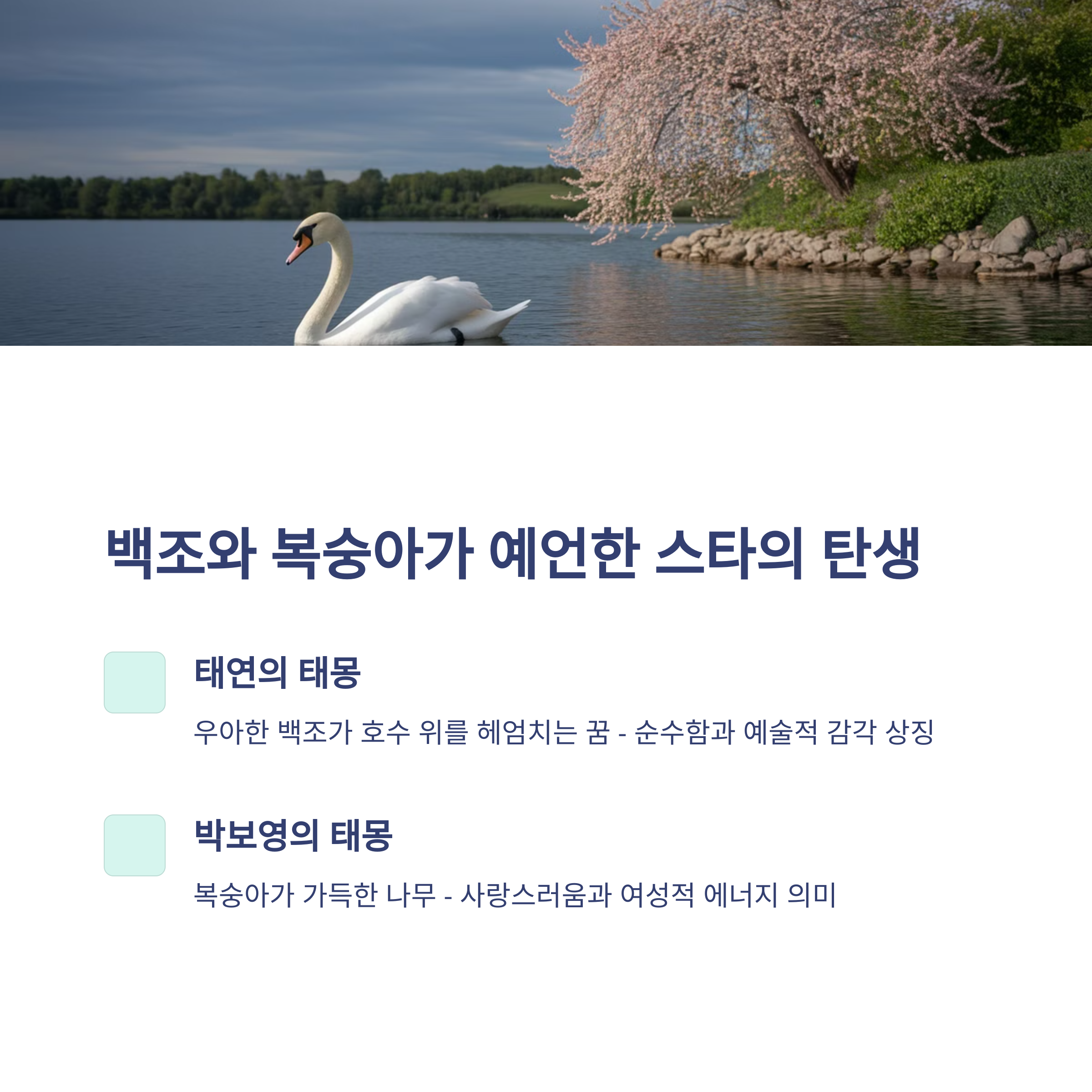 연예인들의 태몽 이야기 7탄