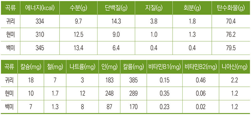 귀리 효능 오트밀 효능 먹는법 칼로리 영양성분 베타글루칸