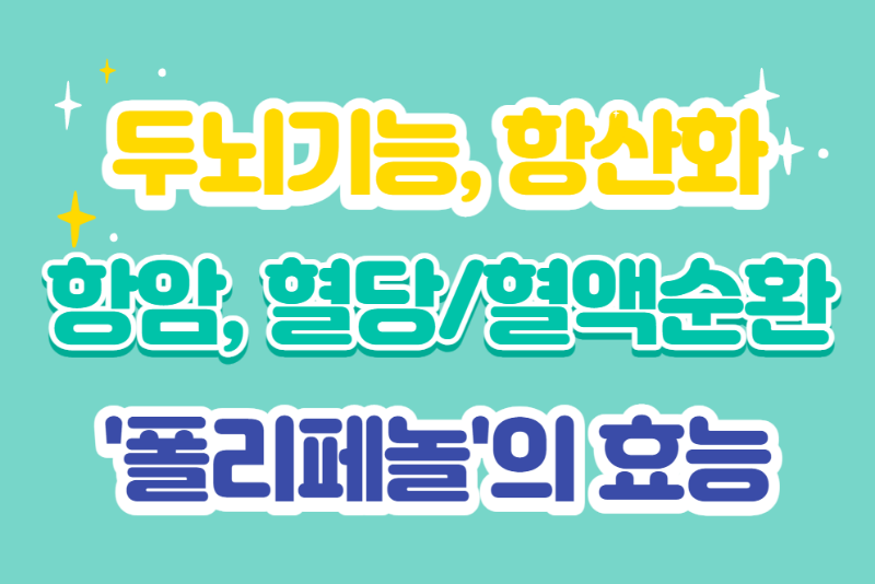 두뇌기능 개선&#44; 항산화&#44; 항암&#44; 혈당조절&#44; 혈액순환&#44; 소화 개선 등 폴리페놀의 효능과 부작용