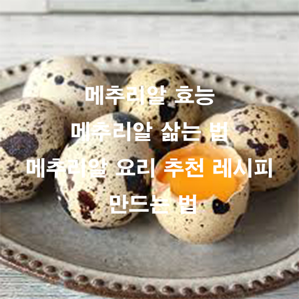 메추리알 효능 메추리알 삶는 법 메추리알 요리 추천 레시피 만드는 법