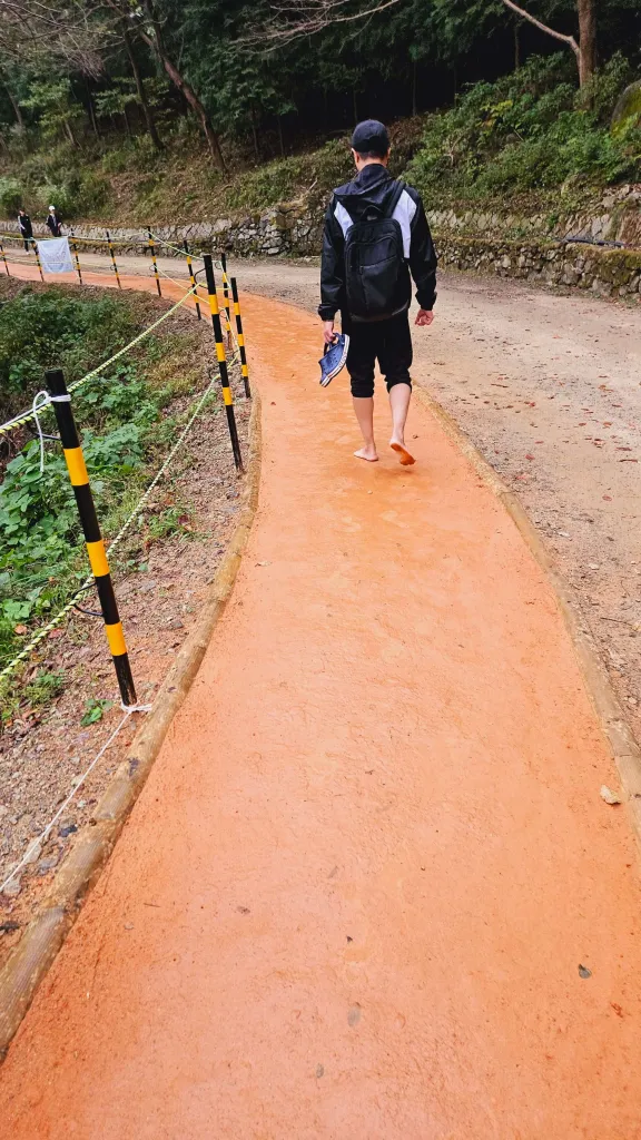 엄광산 맨발걷기