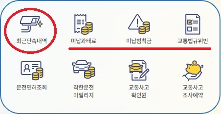 최근단속내역 조회하기