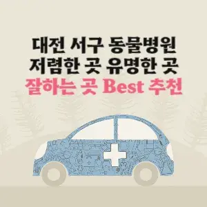 대전 서구 동물병원 잘하는 곳 가격 저렴한 곳 추천