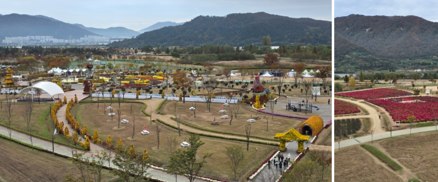 양산 아이와 가볼 만한 곳 : 황산공원 국화축제(11월) & 불빛정원(1월) 방문 후기