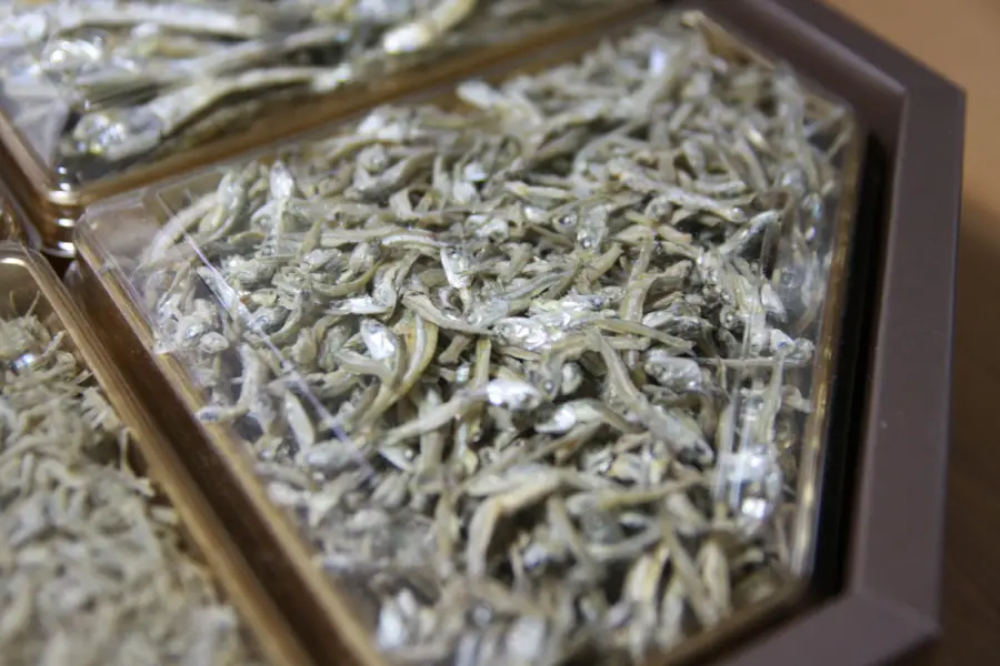 멸치 크기 중멸