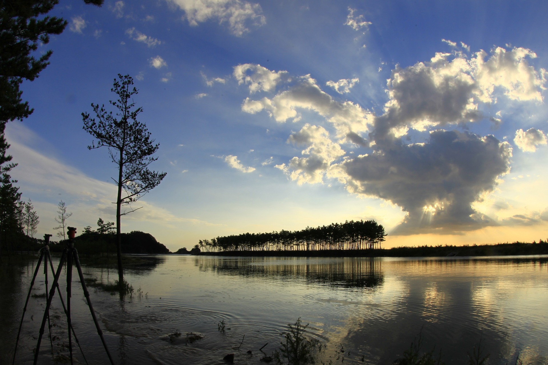 태안에 가볼만한 곳