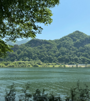 경기도 정원 카페