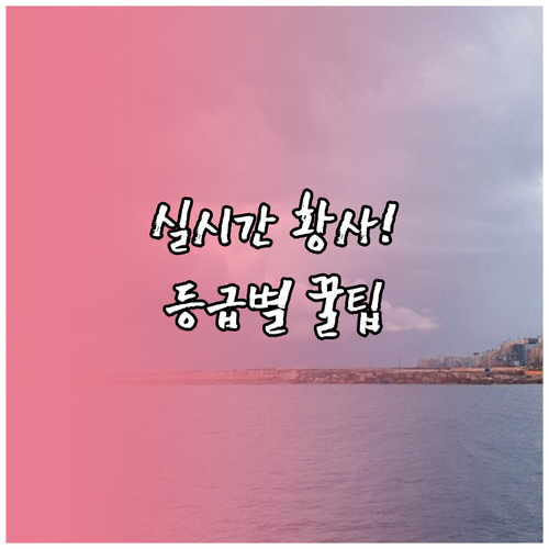 실시간 황사 수치 확인 방법 및 등급..