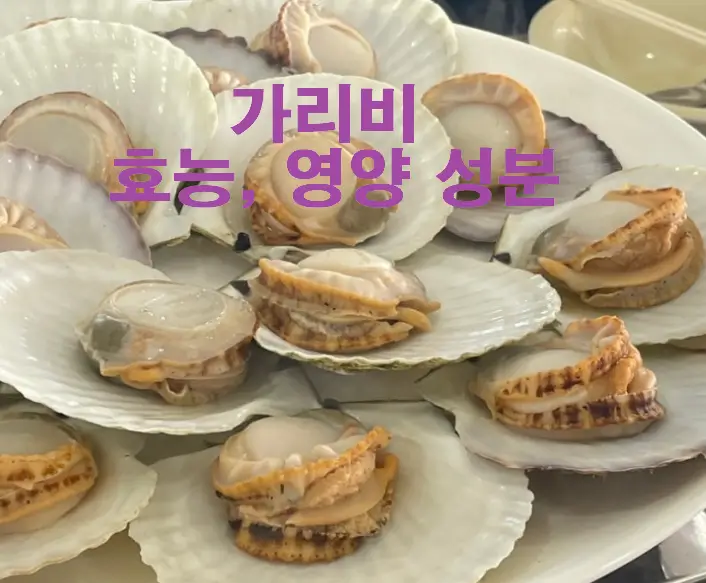 가리비