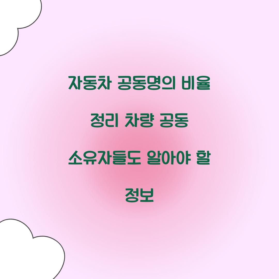 자동차 공동명의 비율