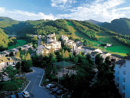 용평리조트 그림 자료