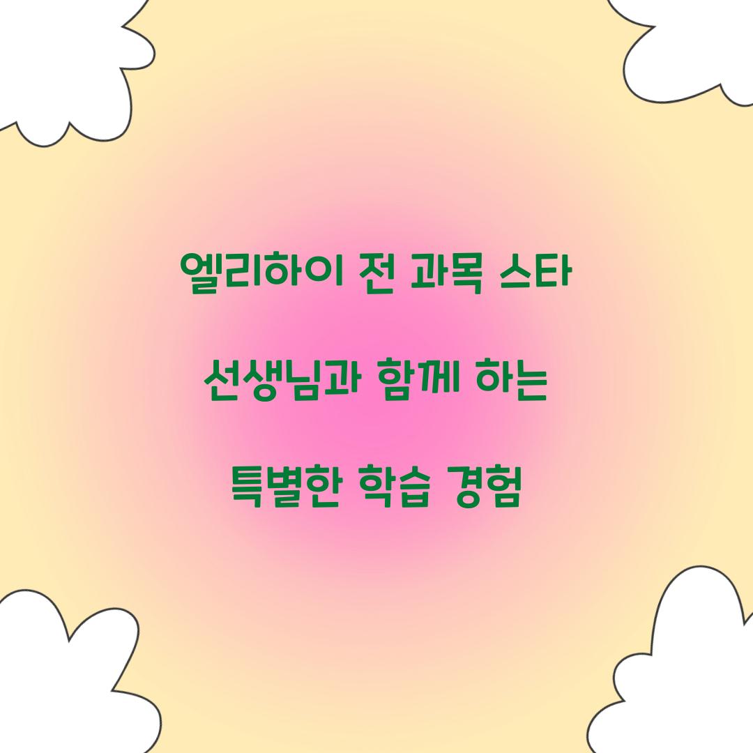 엘리하이 전 과목 스타 선생님