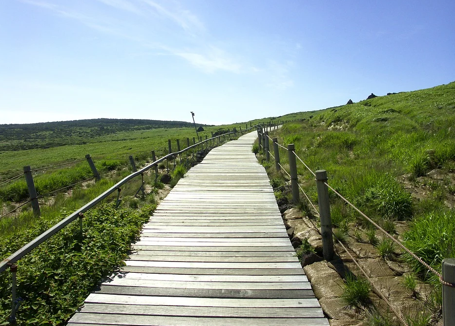 제주도 비행기표