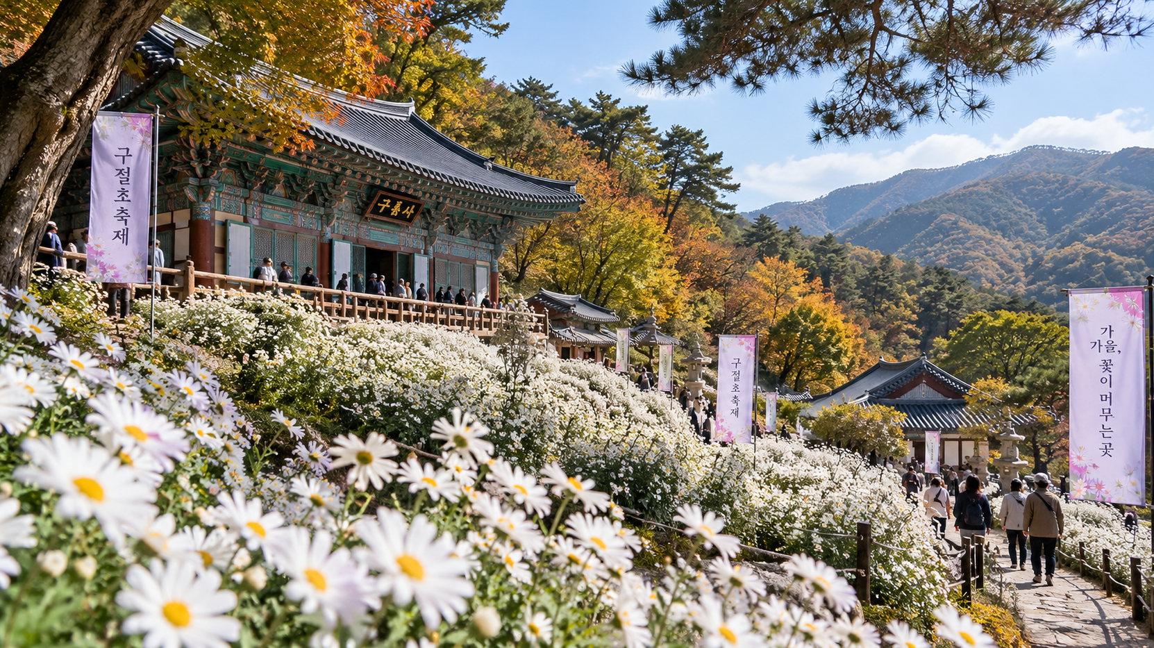 공주 가을 여행, 구룡사 구절초축제 이것만 알면 끝
