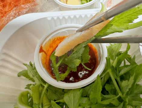 생방송 투데이 홍어삼합 마포 망원동