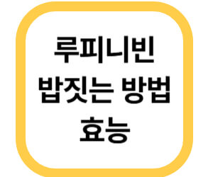 루피니빈 밥 짓기, 효능