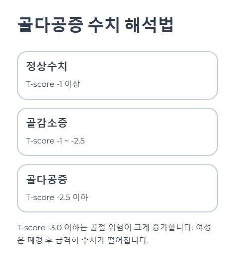 골다공증 수치 해석법