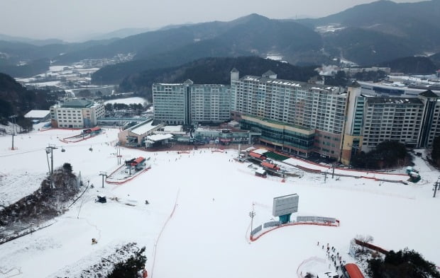 비발디파크 스키장