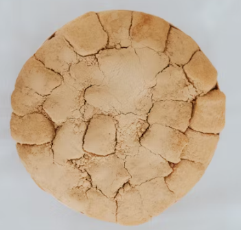 떡보의하루 창업에 대하여 알아보기