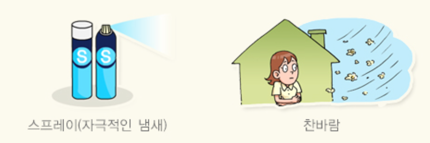 알레르기 원인부터 증상·치료