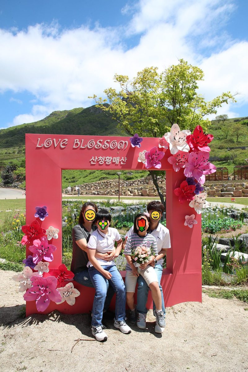 2025 산청 합천 황매산 철쭉축제 일정, 프로그램, 주차 정보까지!