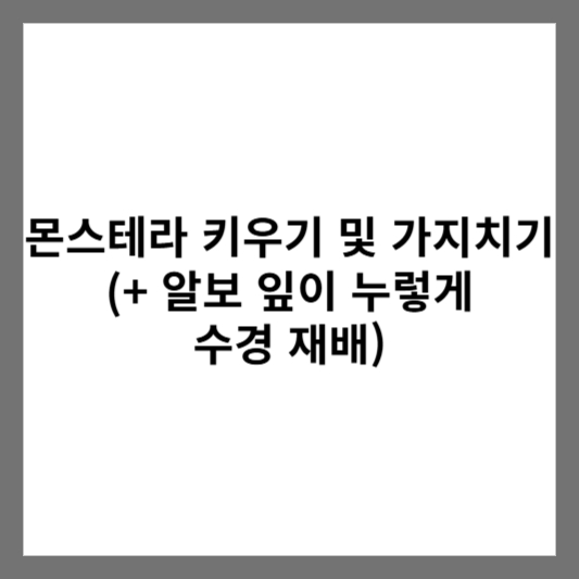 몬스테라 키우기 및 가지치기 (+ 알보 잎이 누렇게 되면 수경 재배)