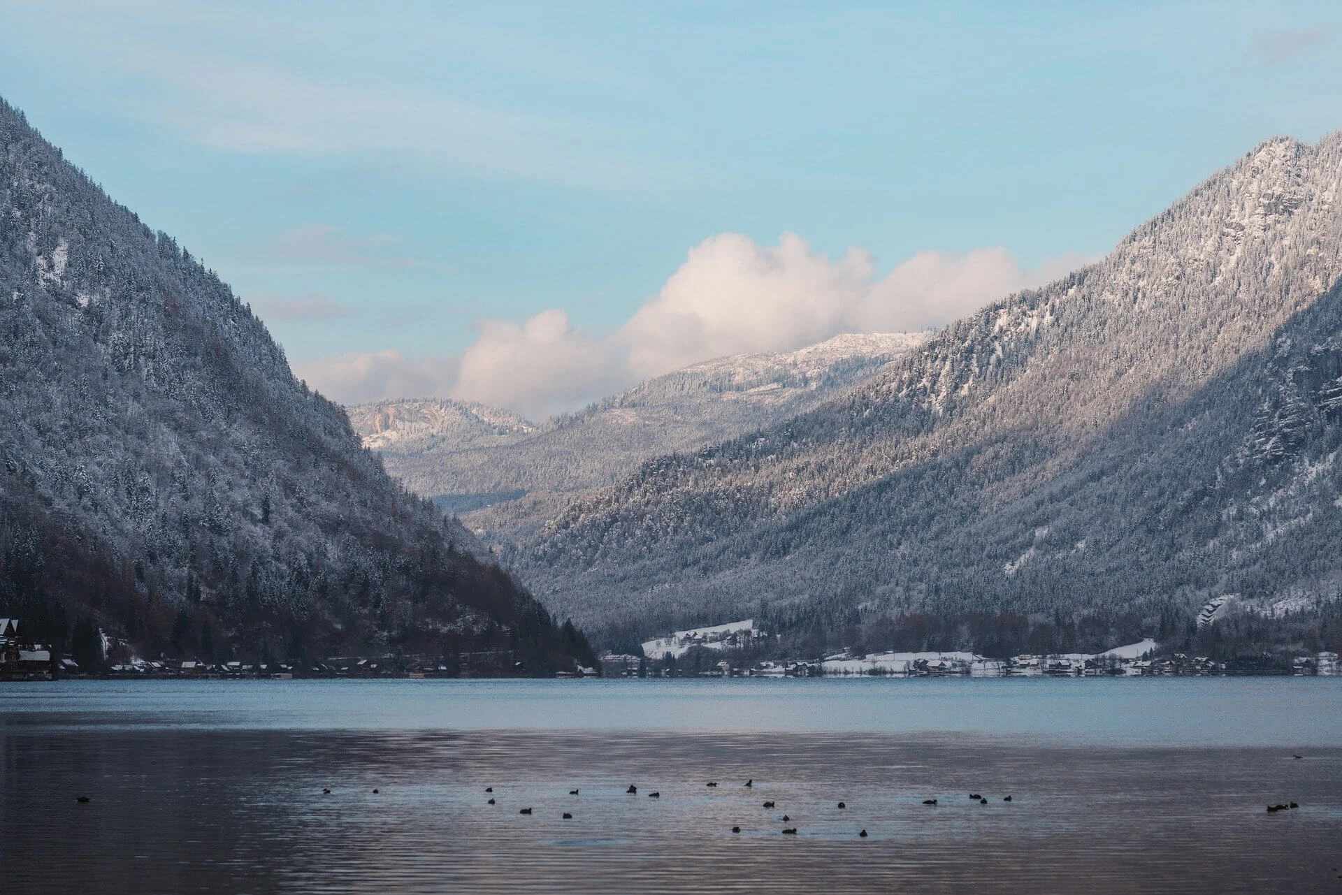감정을 해석하지 않는 뇌의 구조화 실패와 정체성 혼란