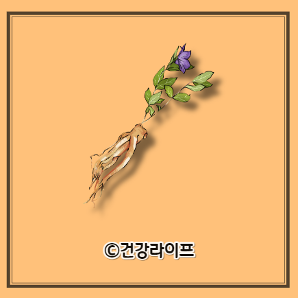 도라지 효능, 도라지 부작용, 도라지청 만드는 방법