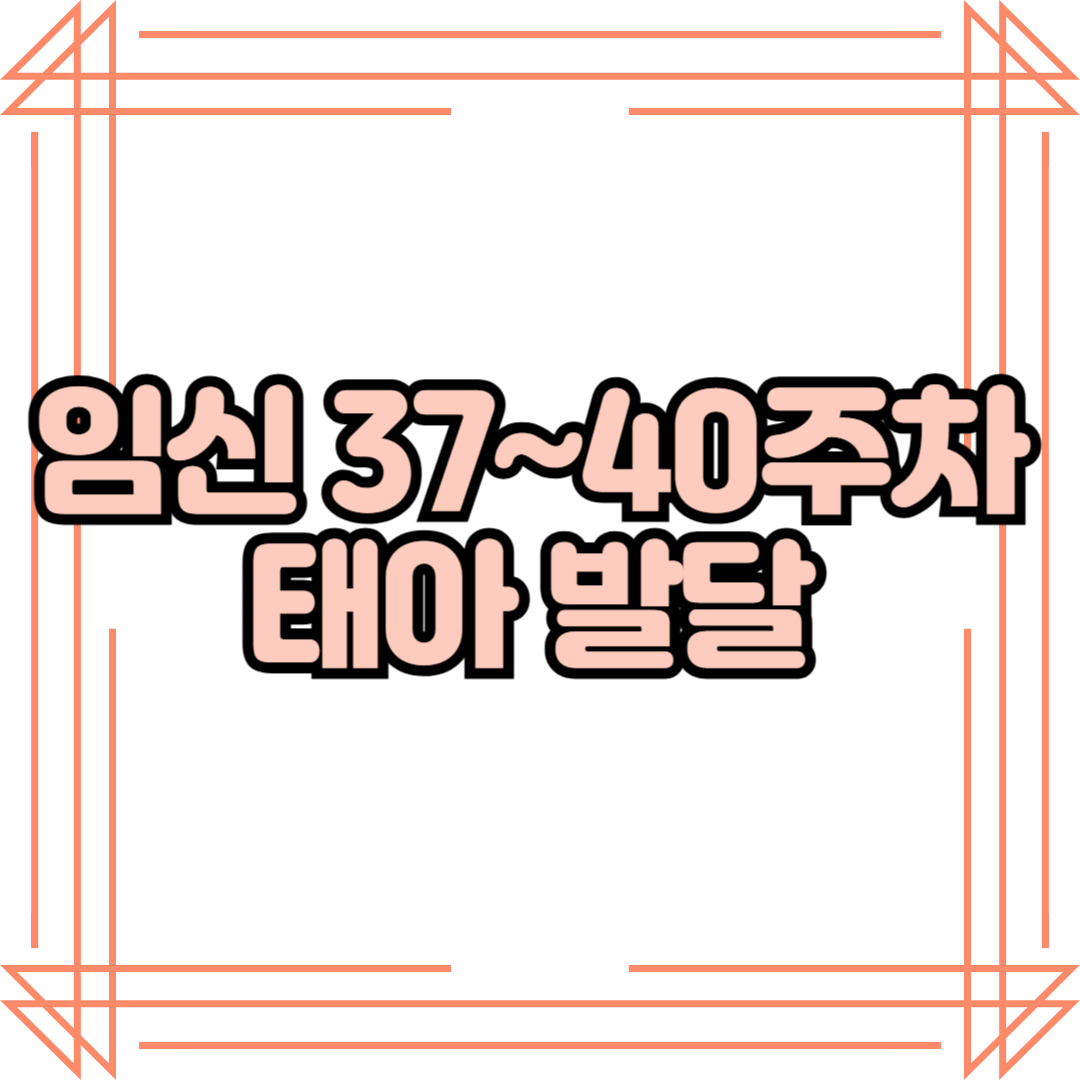 임신 37~40주차 태아 발달 – 만삭! 출산을 앞둔 마지막 준비 과정