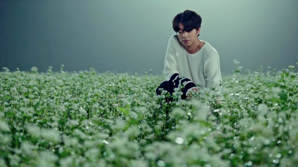 고창청보리밭축제