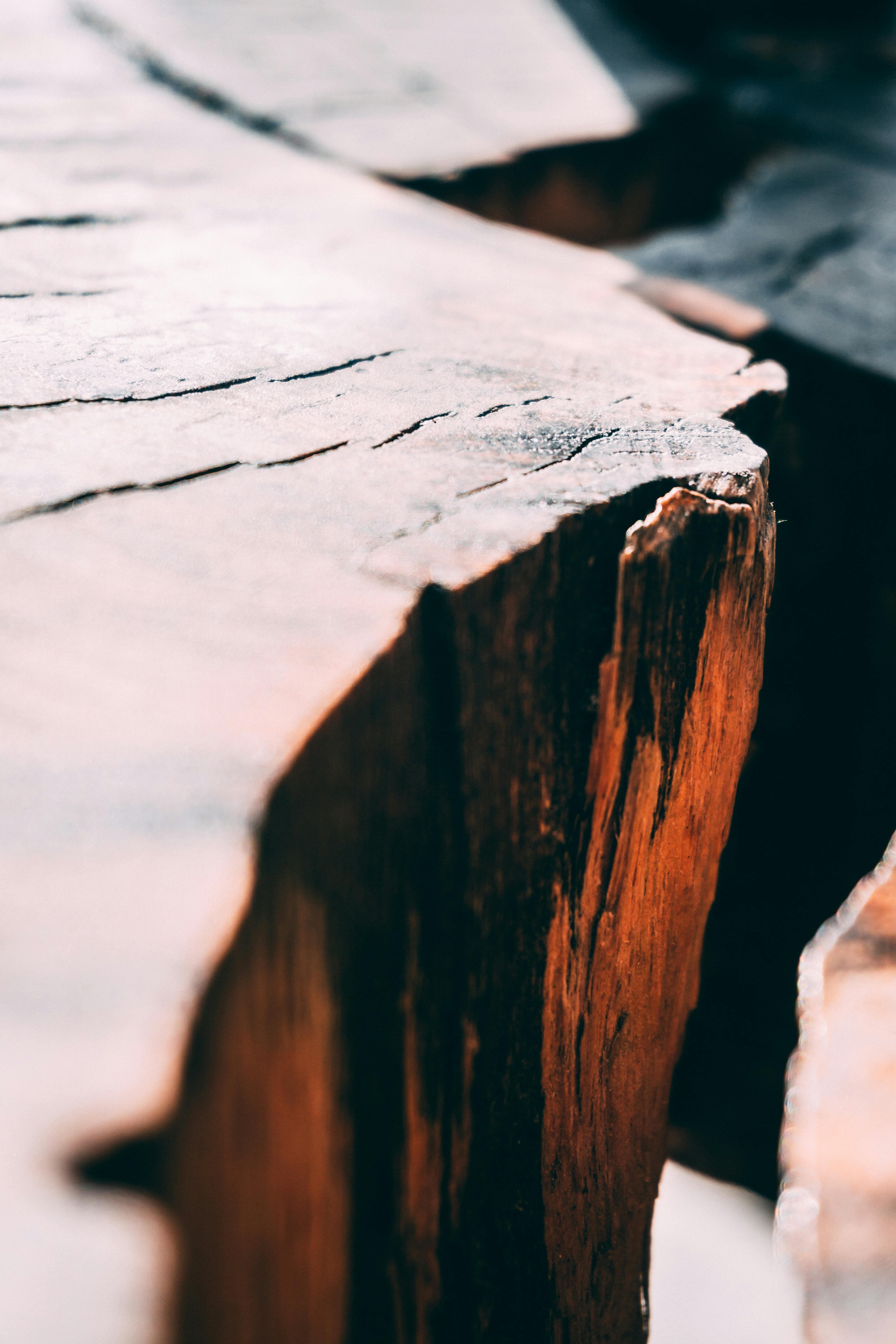 나무 위에 새긴 예술: 전통 목판화와 조각 기법의 비밀